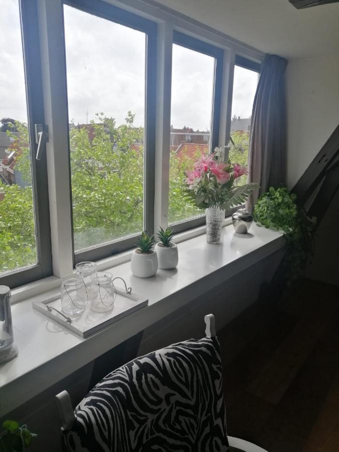 Bed and Breakfast Wittezwaan Harlingen Zewnętrze zdjęcie