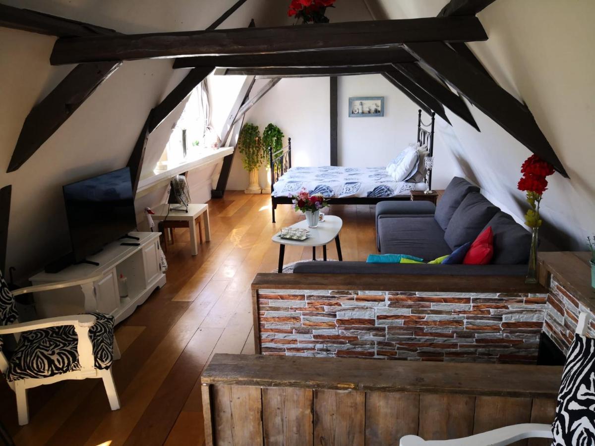 Bed and Breakfast Wittezwaan Harlingen Zewnętrze zdjęcie
